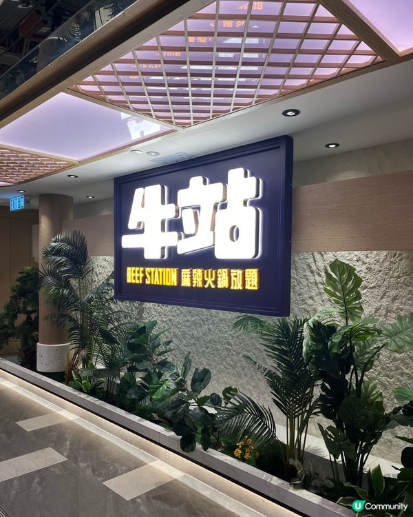 旺角🔥牛駅麻辣火鍋放題！高質食材任食🤤