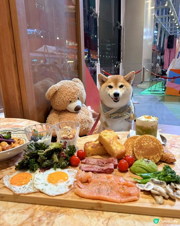 帶毛孩食美味班戟