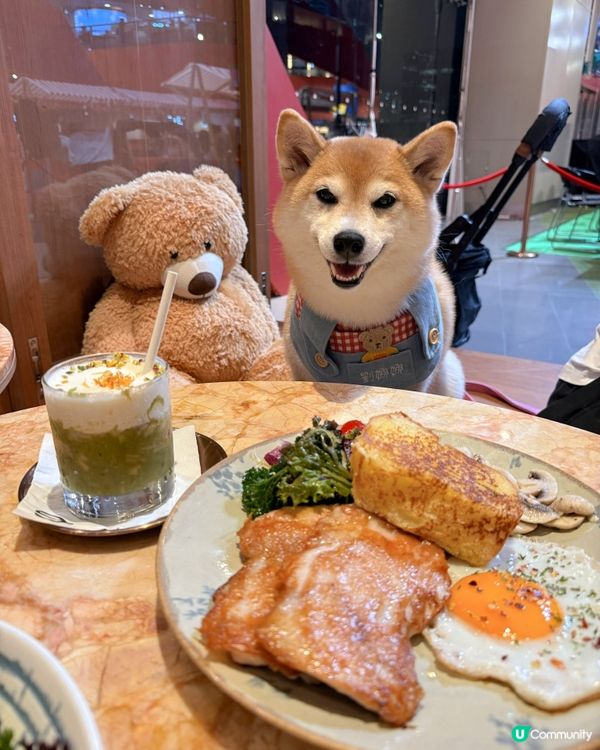 帶毛孩食美味班戟