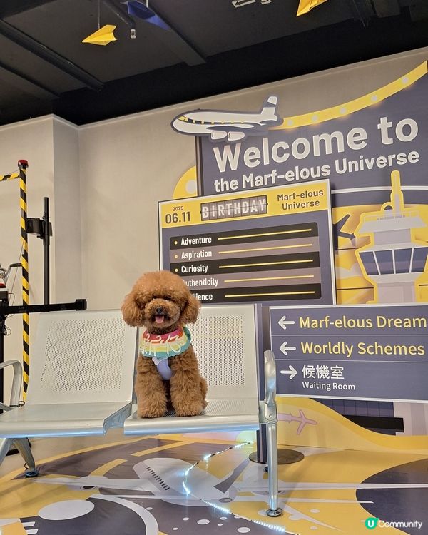 阿棍屋生日趴🎉🐶  領養日等你！