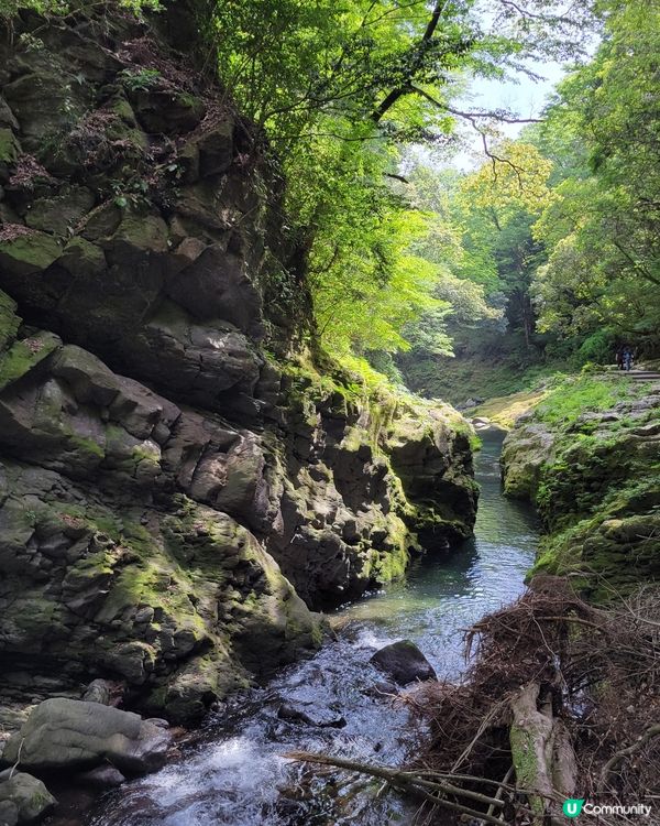 ⛰️ 人生成就又解一鎖 ♡ 高千穗 ⛰️