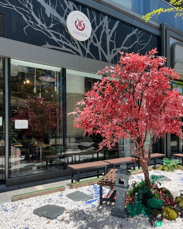 煮干雞醬油拉麵6.0🍜長期大熱？！❤️‍🔥仲有柚子湯底？🫨