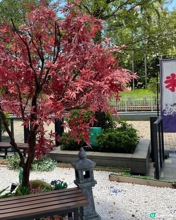 煮干雞醬油拉麵6.0🍜長期大熱？！❤️‍🔥仲有柚子湯底？🫨