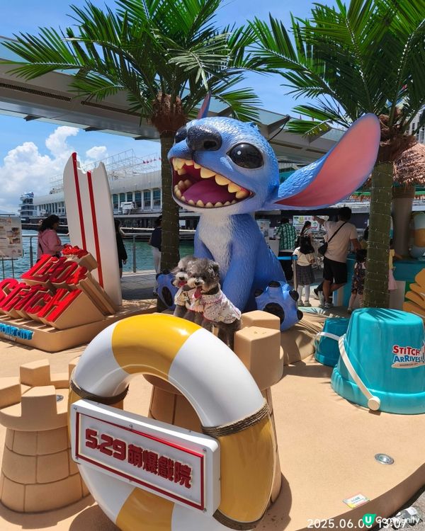 海運大廈 史迪仔