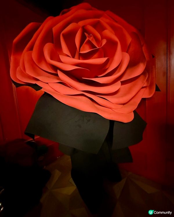 中環蘭桂坊必試🇫🇷 鋪滿曬個面既魚子蟹肉沙律盒