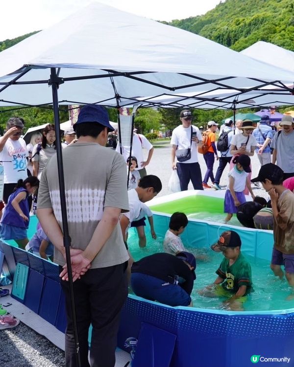 日本嵐山若鮎祭·要預約先食到既新鮮炭燒鮎魚🐟