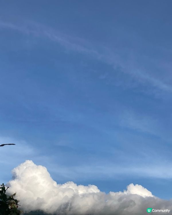 錦上路的下午及黃昏時分 尋找寧靜的一刻