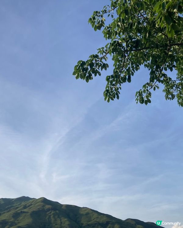 錦上路的下午及黃昏時分 尋找寧靜的一刻