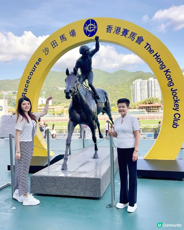 沙田馬場🐴夏令🌞賽事日