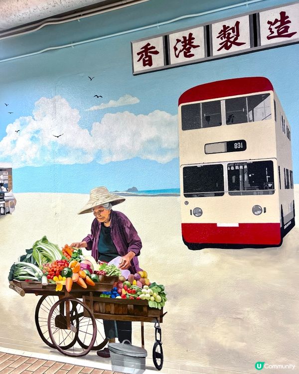 沙田馬場🐴夏令🌞賽事日