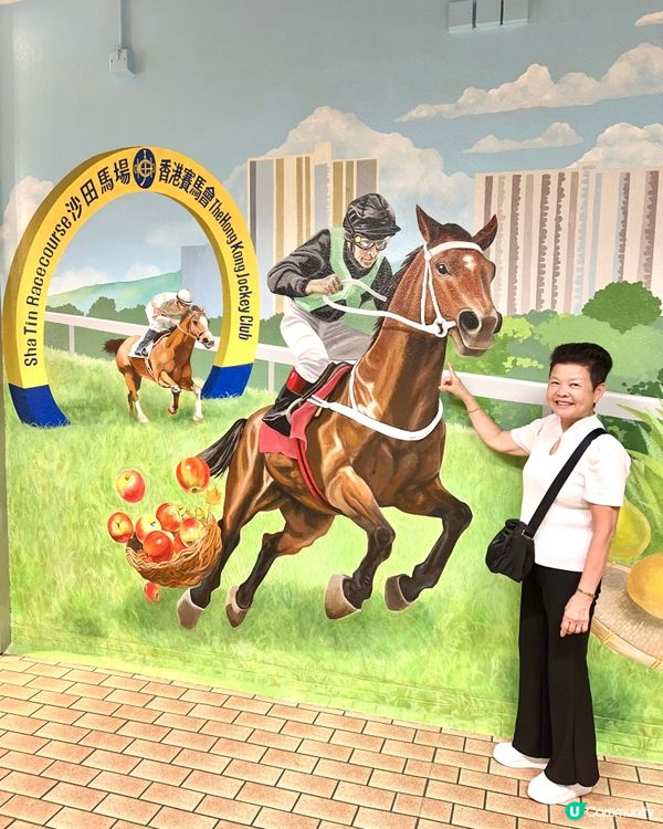 沙田馬場🐴夏令🌞賽事日