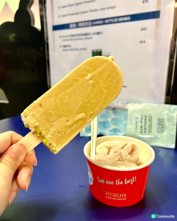 沙田馬場🐴夏令🌞賽事日