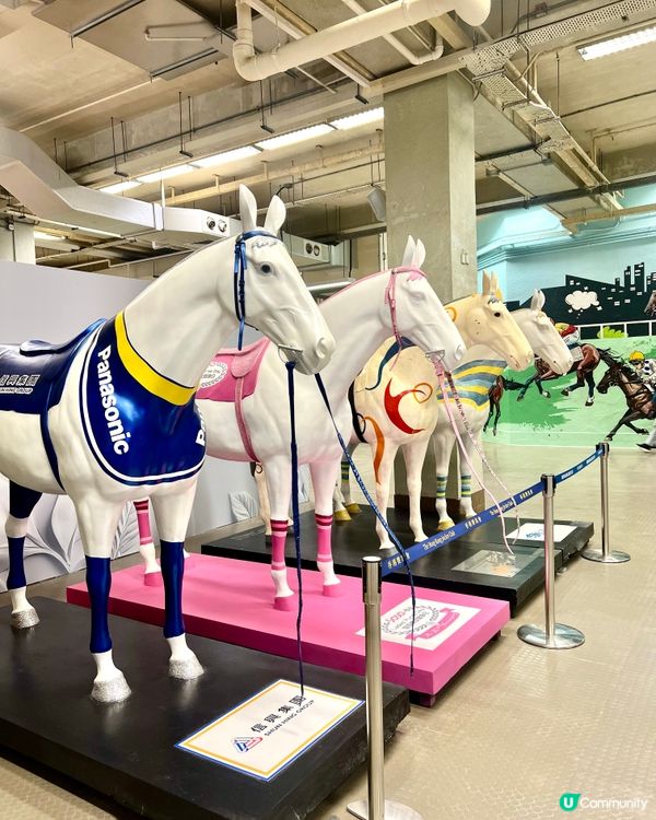 沙田馬場🐴夏令🌞賽事日