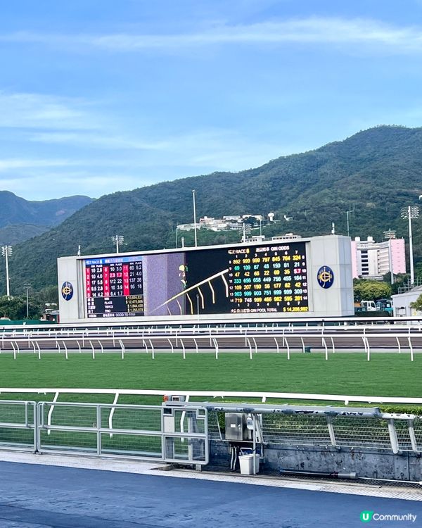 沙田馬場🐴夏令🌞賽事日