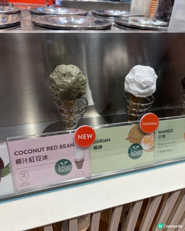 Venchi神組合！期間限定榴槤乳酪CP＋鐵觀音香蕉暴擊🍵🍌