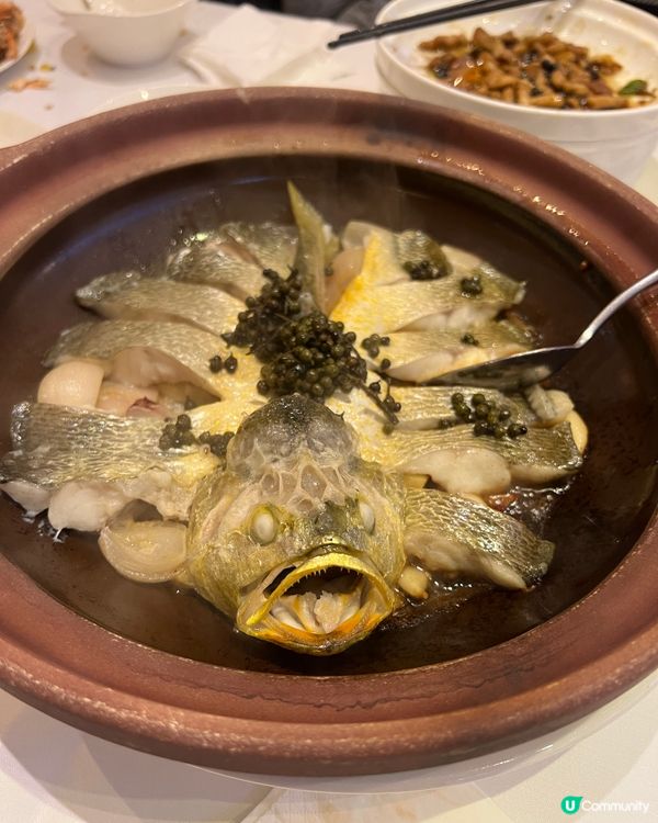 元朗YOHO原條瓦煲花椒蒸黃花魚🔥神級福建菜😋