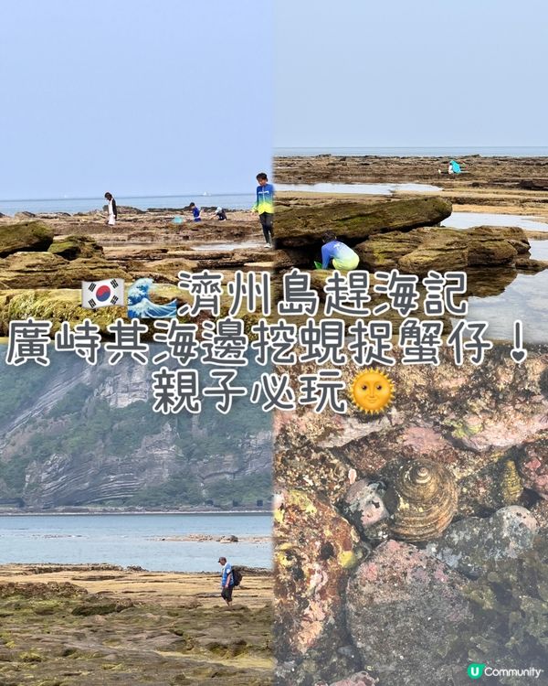 🇰🇷🌊濟州島趕海記👏🏻💯挖蜆捉蟹仔!親子必玩🌞  