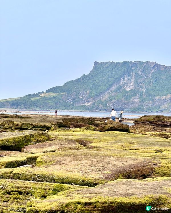 🇰🇷🌊濟州島趕海記👏🏻💯挖蜆捉蟹仔!親子必玩🌞  