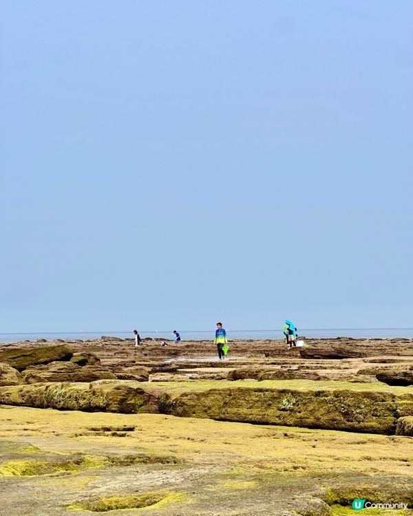 🇰🇷🌊濟州島趕海記👏🏻💯挖蜆捉蟹仔!親子必玩🌞  