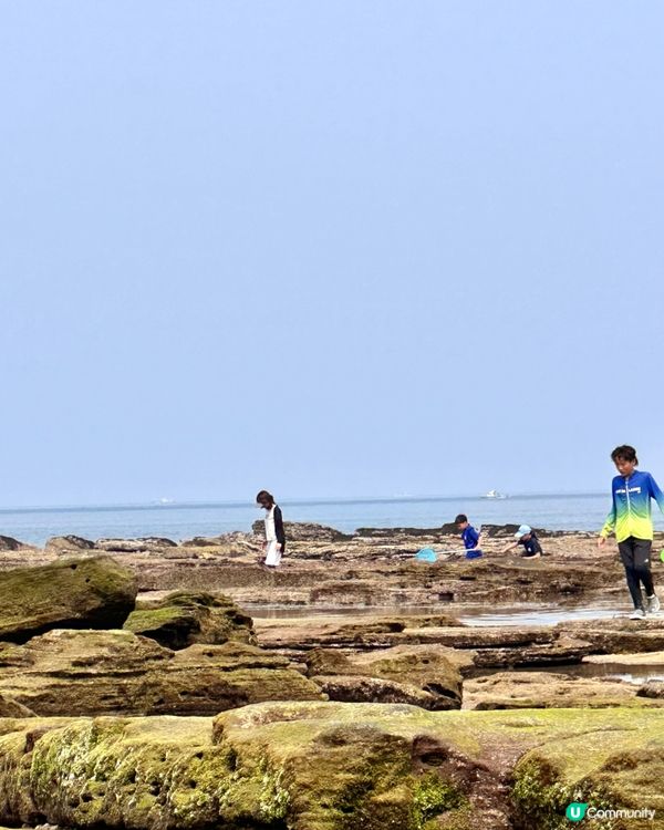 🇰🇷🌊濟州島趕海記👏🏻💯挖蜆捉蟹仔!親子必玩🌞  