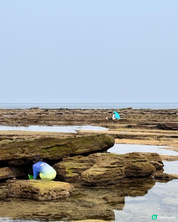 🇰🇷🌊濟州島趕海記👏🏻💯挖蜆捉蟹仔!親子必玩🌞  