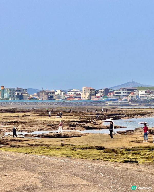 🇰🇷🌊濟州島趕海記👏🏻💯挖蜆捉蟹仔!親子必玩🌞  
