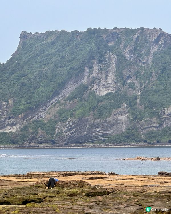 🇰🇷🌊濟州島趕海記👏🏻💯挖蜆捉蟹仔!親子必玩🌞  