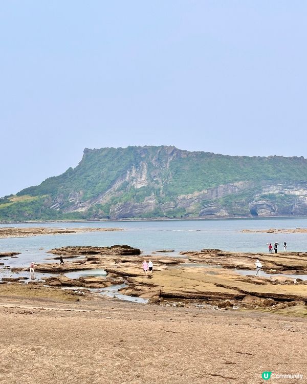 🇰🇷🌊濟州島趕海記👏🏻💯挖蜆捉蟹仔!親子必玩🌞  