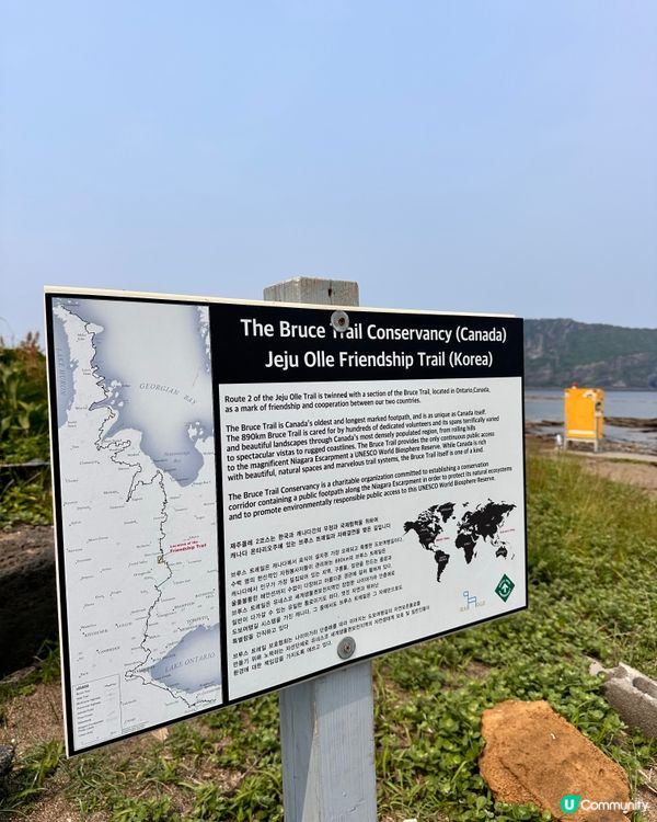 🇰🇷🌊濟州島趕海記👏🏻💯挖蜆捉蟹仔!親子必玩🌞  