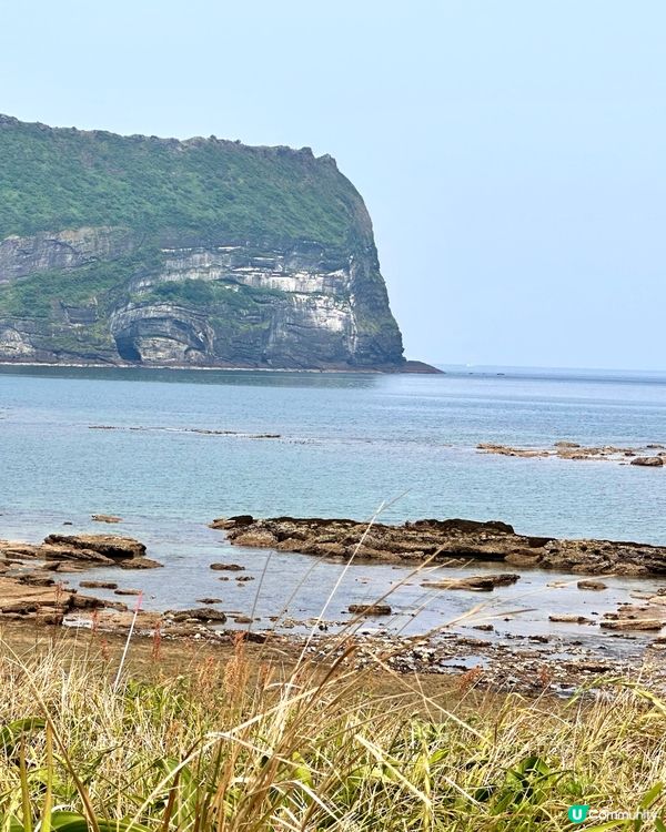 🇰🇷🌊濟州島趕海記👏🏻💯挖蜆捉蟹仔!親子必玩🌞  