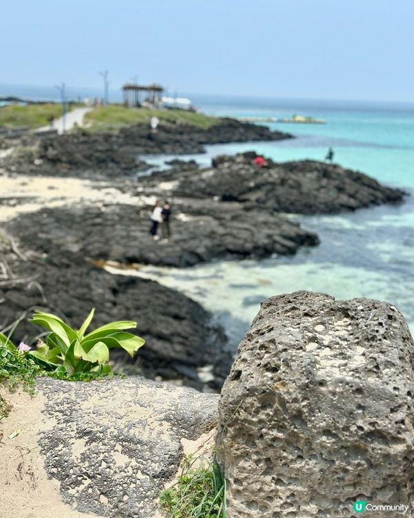 🇰🇷濟州島必遊景點推薦「咸德海水浴場」海女包飯+無敵海景打卡💯