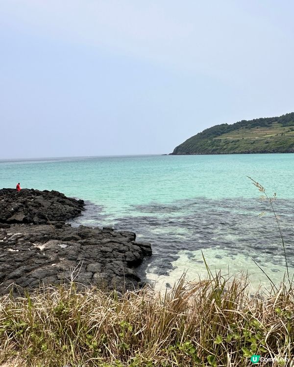 🇰🇷濟州島必遊景點推薦「咸德海水浴場」海女包飯+無敵海景打卡💯