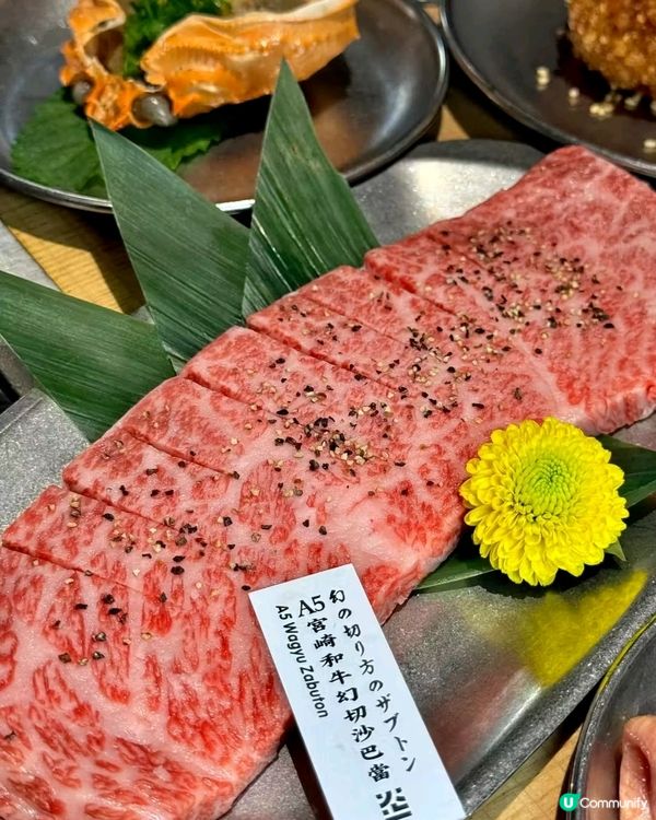 🏕️燒肉新體驗！日式露營風燒肉店🔥🔥