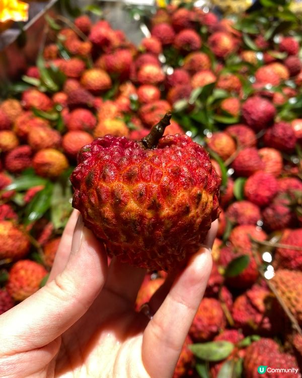 ✨ 深圳🇨🇳-⚠️💬巨无霸火山岩荔枝王還未️試⁉️💢外殼竟..📍永輝