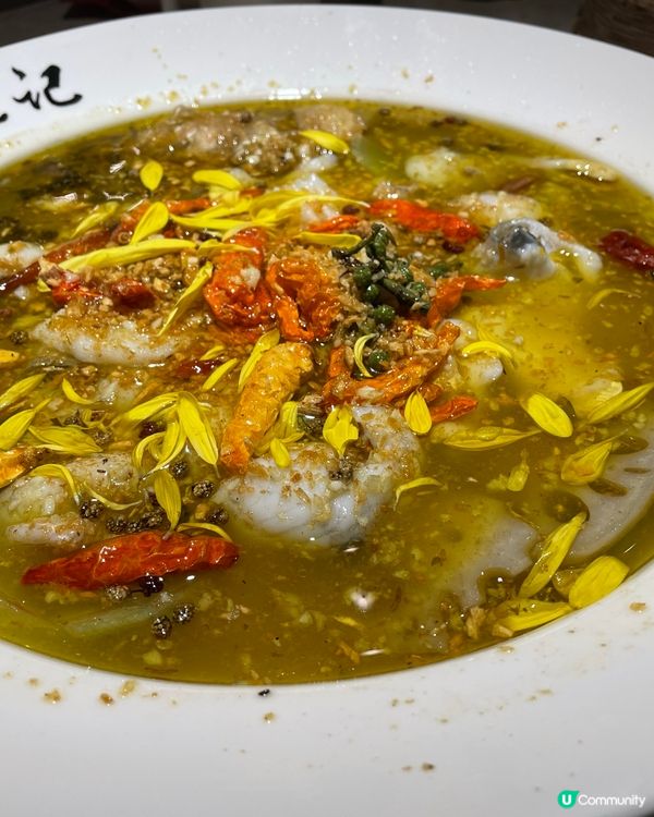 淥鼎記唔止打邊爐