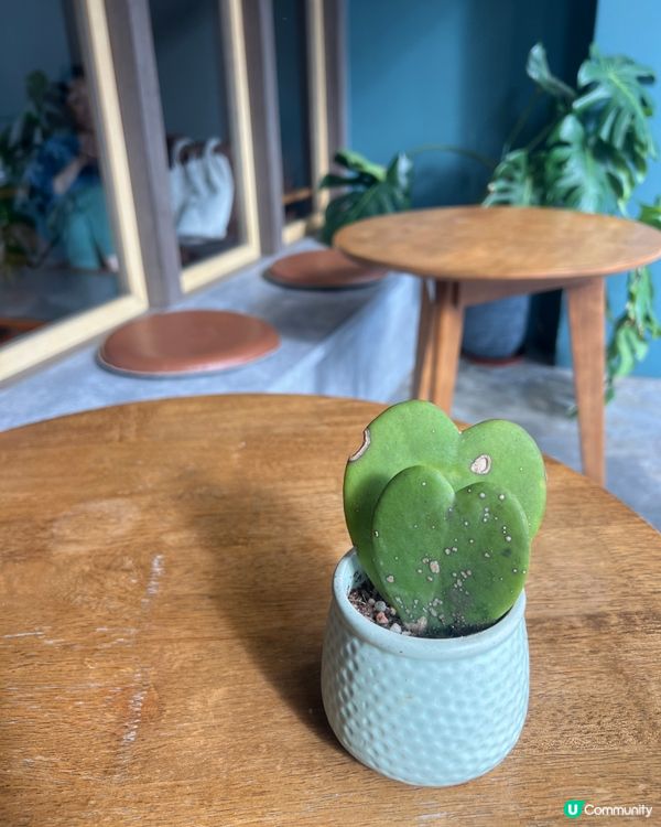 【🍃NOOT|🚋鬧市中的小清新】