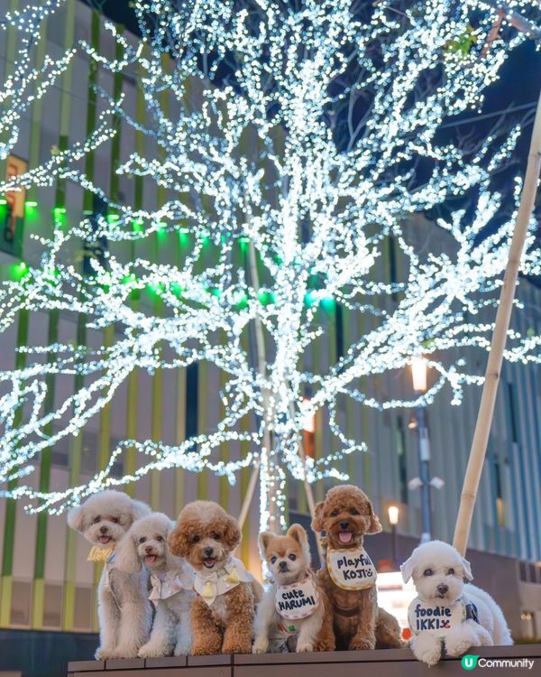 啟德港版六本木打卡位 📸