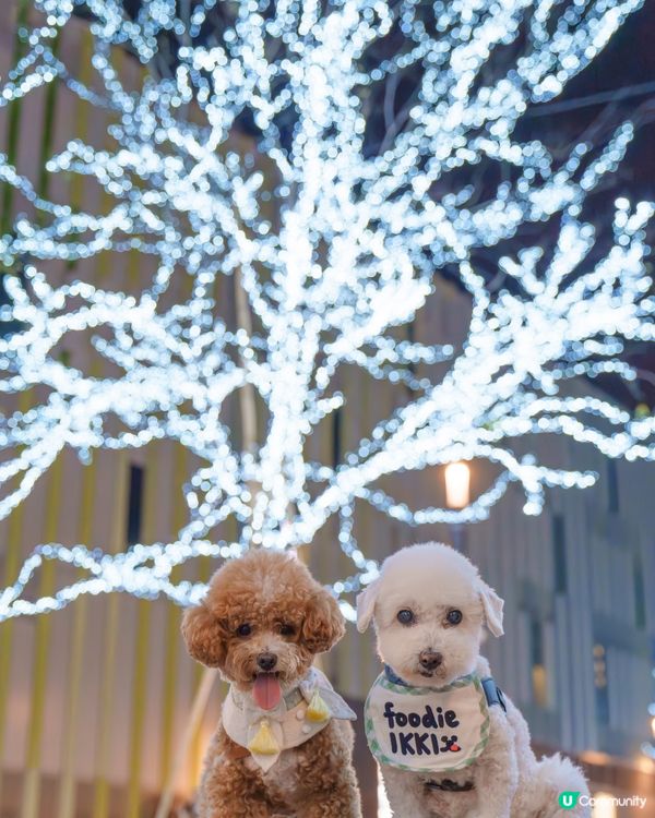 啟德港版六本木打卡位 📸