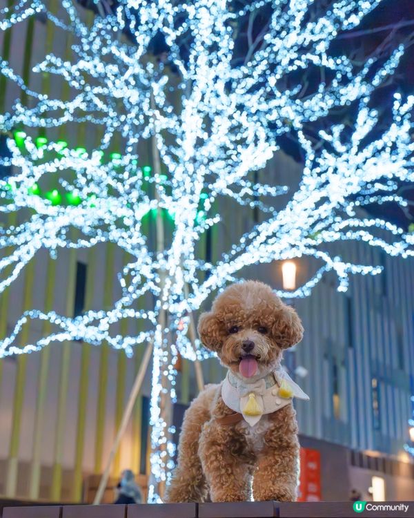 啟德港版六本木打卡位 📸