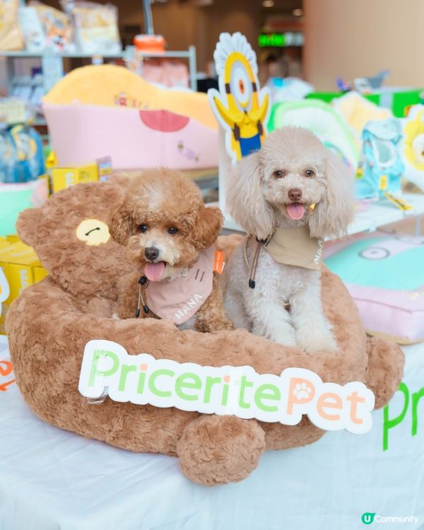 MegaBox寵寵梳乎祭✨