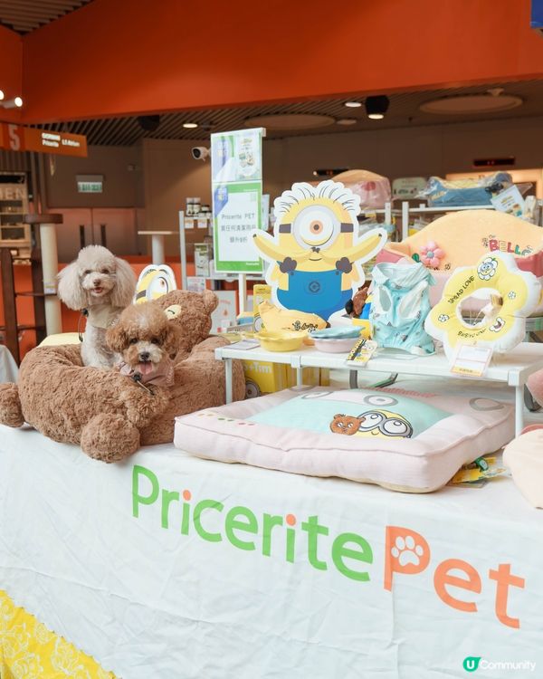 MegaBox寵寵梳乎祭✨