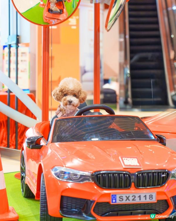 MegaBox寵寵梳乎祭✨