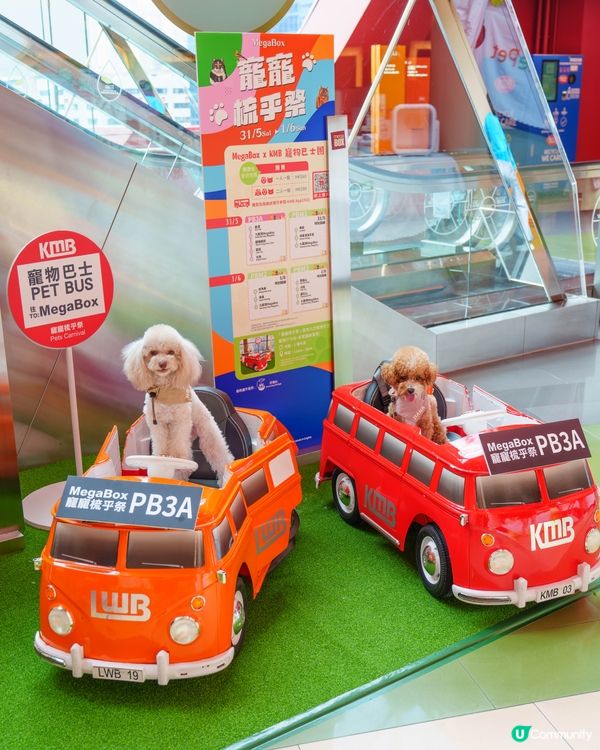 MegaBox寵寵梳乎祭✨