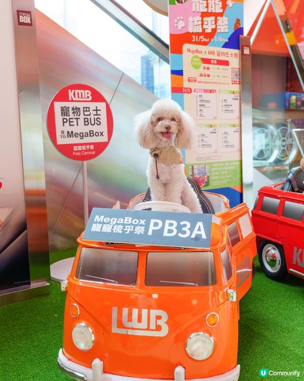 MegaBox寵寵梳乎祭✨