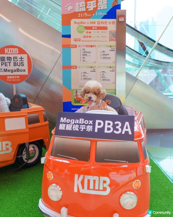 MegaBox寵寵梳乎祭✨