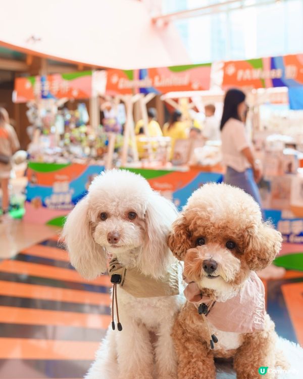 MegaBox寵寵梳乎祭✨