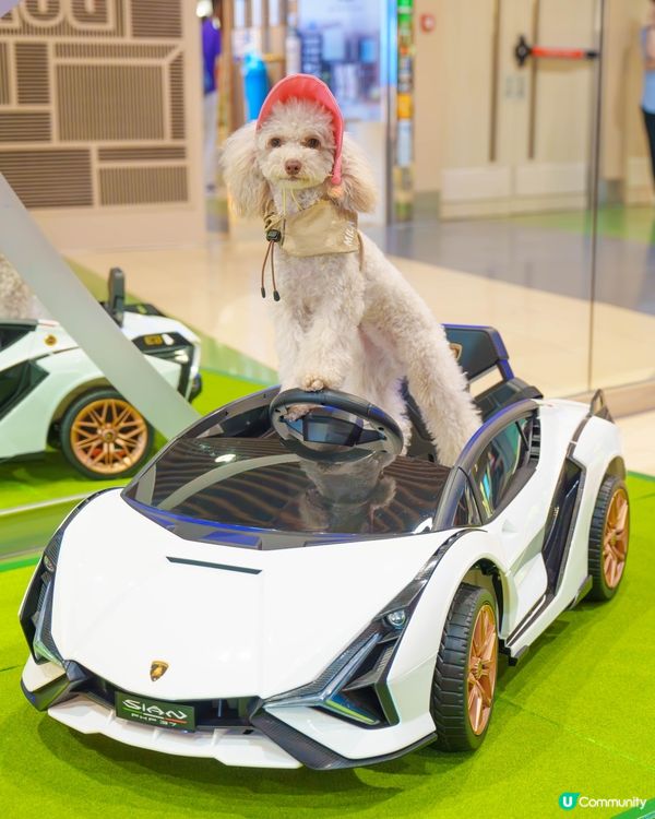 MegaBox寵寵梳乎祭✨