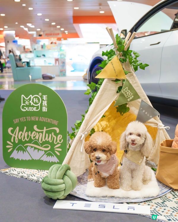 MegaBox寵寵梳乎祭✨