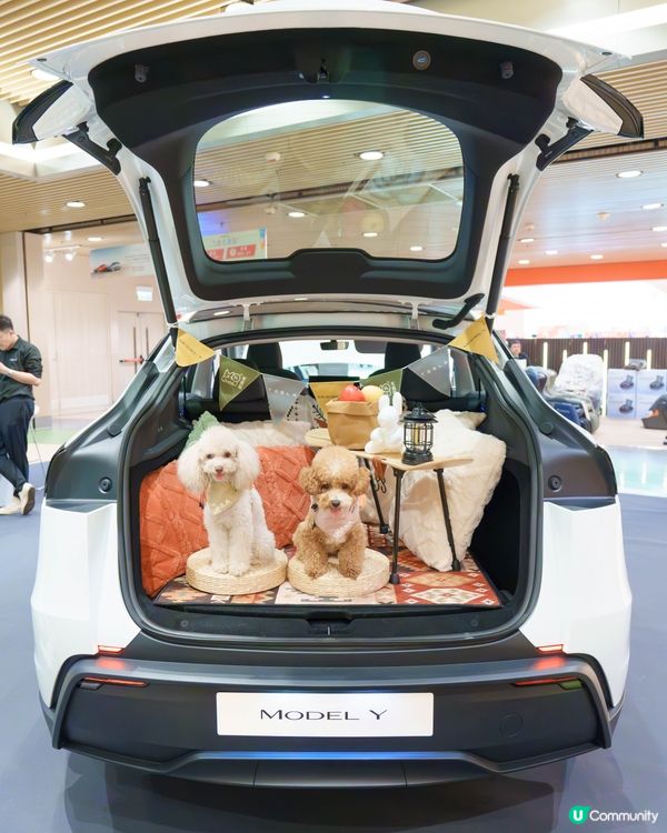 MegaBox寵寵梳乎祭✨