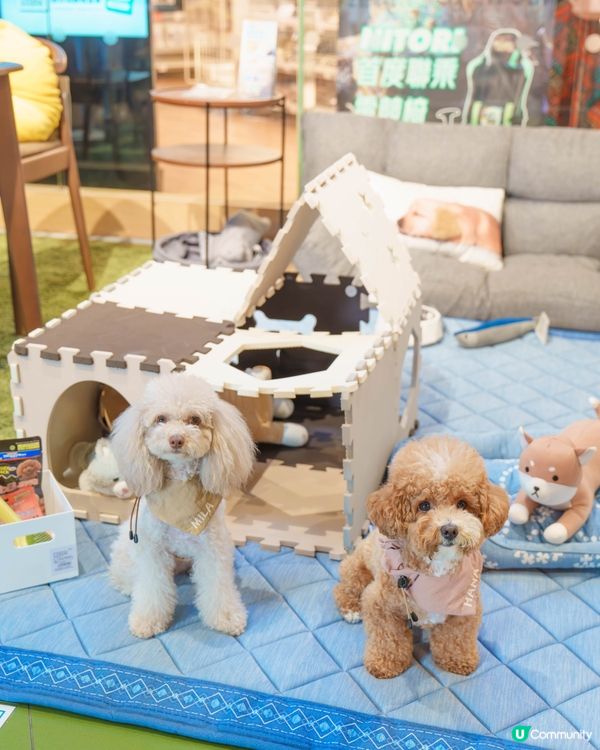 🐶毛孩天堂！商場任你行！🤩